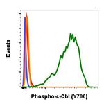 Phospho-c-Cbl (Tyr700) Antibody in Flow Cytometry (Flow)