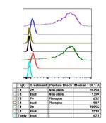 Phospho-c-Cbl (Tyr700) Antibody in Flow Cytometry (Flow)