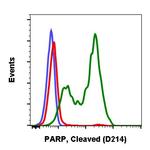 PARP1 (cleaved Asp214) Antibody in Flow Cytometry (Flow)