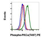 Phospho-PKC alpha (Thr497) Antibody in Flow Cytometry (Flow)