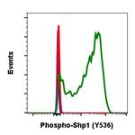 Phospho-SHP-1 (Tyr536) Antibody in Flow Cytometry (Flow)