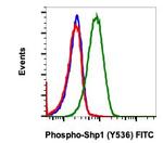 Phospho-SHP-1 (Tyr536) Antibody in Flow Cytometry (Flow)