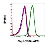 Phospho-SHP-1 (Tyr536) Antibody in Flow Cytometry (Flow)