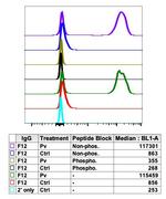 Phospho-HCLS1 (Tyr397) Antibody in Flow Cytometry (Flow)