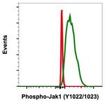 Phospho-Jak1 (Tyr1022, Tyr1023) Antibody in Flow Cytometry (Flow)