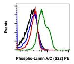 Phospho-Lamin A/C (Ser22) Antibody in Flow Cytometry (Flow)