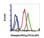 Phospho-PKC gamma (Thr514) Antibody in Flow Cytometry (Flow)