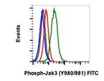 Phospho-Jak3 (Tyr980, Tyr981) Antibody in Flow Cytometry (Flow)