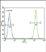 ACTA1 Antibody in Flow Cytometry (Flow)