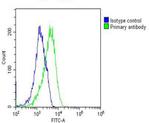 RAB23 Antibody in Flow Cytometry (Flow)