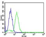 Bcl-10 Antibody in Flow Cytometry (Flow)