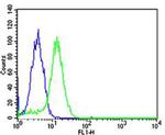 USP11 Antibody in Flow Cytometry (Flow)