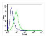 IRF3 Antibody in Flow Cytometry (Flow)