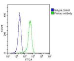 GARS Antibody in Flow Cytometry (Flow)