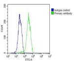 TIP47 Antibody in Flow Cytometry (Flow)