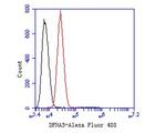 DFNA5 Antibody in Flow Cytometry (Flow)