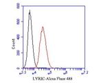 Metadherin Antibody in Flow Cytometry (Flow)