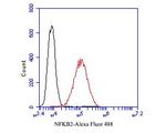 NFkB p52/p100 Antibody in Flow Cytometry (Flow)