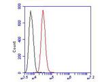 Aminoacylase Antibody in Flow Cytometry (Flow)