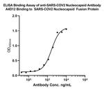 SARS-CoV-2 Nucleocapsid Antibody in ELISA (ELISA)