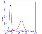 CD45 Antibody in Flow Cytometry (Flow)