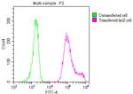 E. coli GLB1 Antibody in Flow Cytometry (Flow)