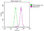 PKM Antibody in Flow Cytometry (Flow)