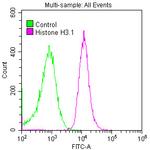 Histone H3 Antibody in Flow Cytometry (Flow)