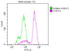 COX1 Antibody in Flow Cytometry (Flow)