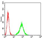 ACTH Antibody in Flow Cytometry (Flow)