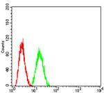 ADAM10 Antibody in Flow Cytometry (Flow)