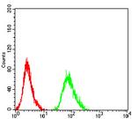 beta-2 Adrenergic Receptor Antibody in Flow Cytometry (Flow)