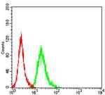 AMBRA1 Antibody in Flow Cytometry (Flow)