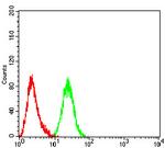 ARF1 Antibody in Flow Cytometry (Flow)