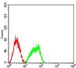 Bcl-10 Antibody in Flow Cytometry (Flow)