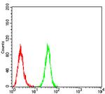 BMP-2 Antibody in Flow Cytometry (Flow)