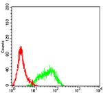 CD155 Antibody in Flow Cytometry (Flow)