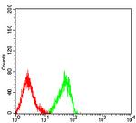 KIR2DL4 Antibody in Flow Cytometry (Flow)