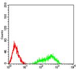 CD169 Antibody in Flow Cytometry (Flow)