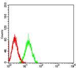 SIRP gamma Antibody in Flow Cytometry (Flow)