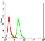 Langerin Antibody in Flow Cytometry (Flow)