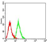 Langerin Antibody in Flow Cytometry (Flow)