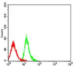 BCAM Antibody in Flow Cytometry (Flow)