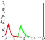 CLEC4D Antibody in Flow Cytometry (Flow)