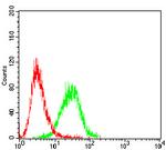 CD6 Antibody in Flow Cytometry (Flow)