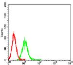 uPAR Antibody in Flow Cytometry (Flow)