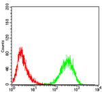 CD99 Antibody in Flow Cytometry (Flow)