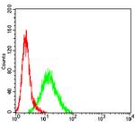 p57 Kip2 Antibody in Flow Cytometry (Flow)