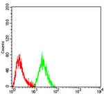 p16INK4a Antibody in Flow Cytometry (Flow)