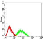 CTNNBL1 Antibody in Flow Cytometry (Flow)